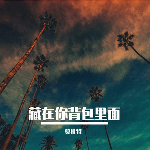 只为与你相见 伴奏