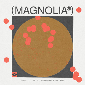 Magnolia