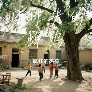 旧时光的蝉鸣