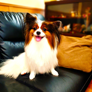 水の流れ (feat. AKIKO)