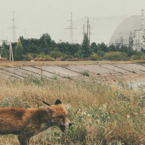 Notte in pieno giorno