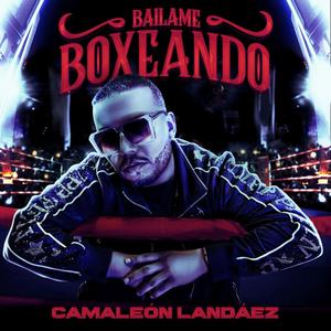 Bailame Boxeando