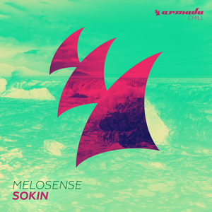 Sokin (Original Mix)