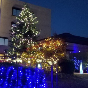 お好きなものは何ですか？