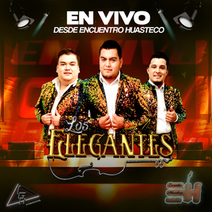Si No Te Hubieras Ido (En Vivo)
