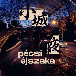 小城夜 pécsi éjszaka