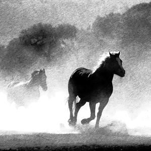 Mert Dayanır Namert Kaçar