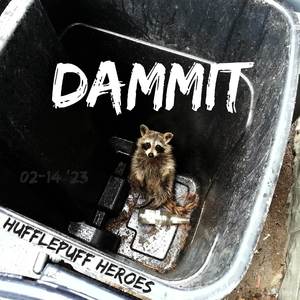 Dammit (Slow Acoustic Cover Version)