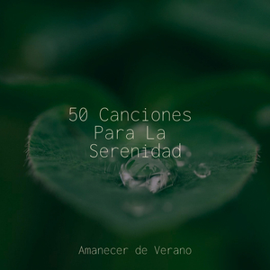 Sinfonía Eterna del Atardecer