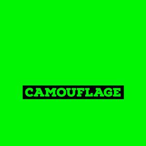 Camouflage