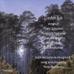 In stiller Nacht after Johannes Brahms