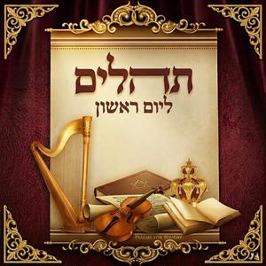 פרק ט