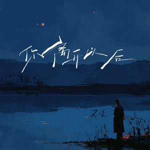 你离开以后