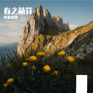 菠萝菠萝蜜