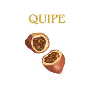 Quipe