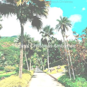 In the Bleak Midwinter - Beach Christmas