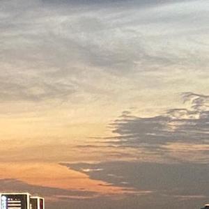 我是一只小小鸟