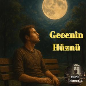 Gecenin Hüznü