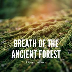 Echoes in the Forest Mist