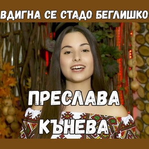 Вдигна се стадо беглишко