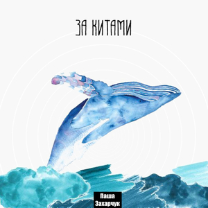 За китами