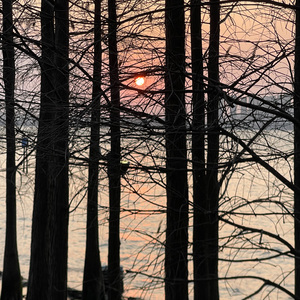 迪士尼在逃公主