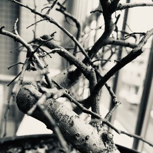 古风一曲 sad pop