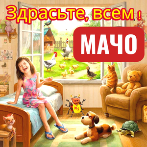 Здрасьте, всем!