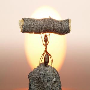 Superacion (feat. xaloraperstyle)