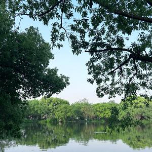 情未变—动画水漫金山主题曲（cover：柏文）