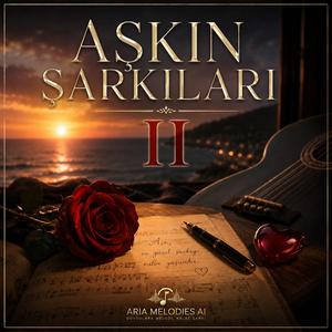 Kar Yağdı Yollara