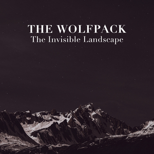 The invisible landscape