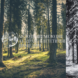 Йога На Вътрешния Баланс