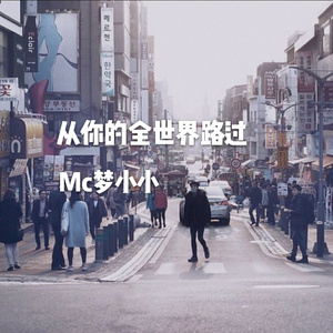 从你的全世界路过