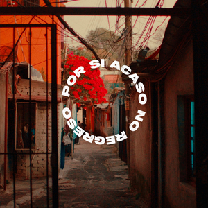 Por si acaso no regreso