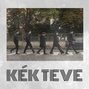 Kék teve