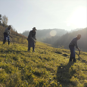Ponosni smo na našo domovino
