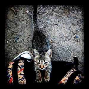 Ми йдемо у Рим