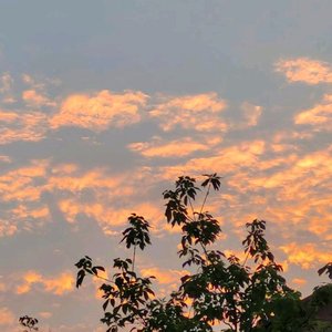 I'm Faded-Faded-9D环绕（凌尘k remix）