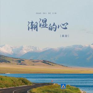 潮湿的心 (DJ版)