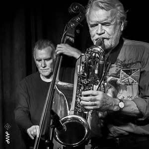 Message from a Sad Dolphin