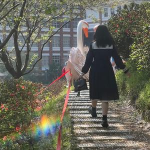 背影(cover林宥嘉）