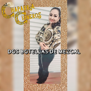 Dos Botellas De Mezcal