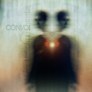 Regresando Del Secuestro Bajo La Luna