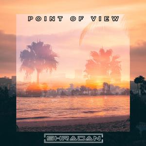 Point Of View (Radio Edit)