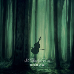 巴赫 G弦之歌 流水鳥鳴