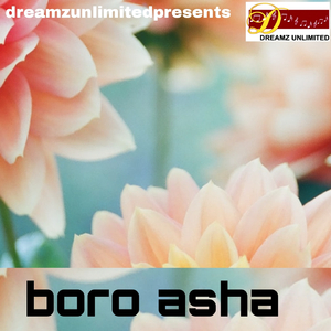 Boro Asha
