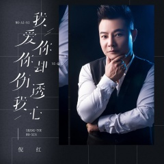 我爱你你却伤透我心 (1.1x)