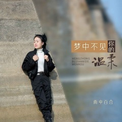 梦中不见你的温柔 (DJ默涵版)
