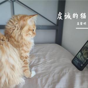 我放过你（感谢你爱过我锋利如刀）（翻自 赵乃吉）